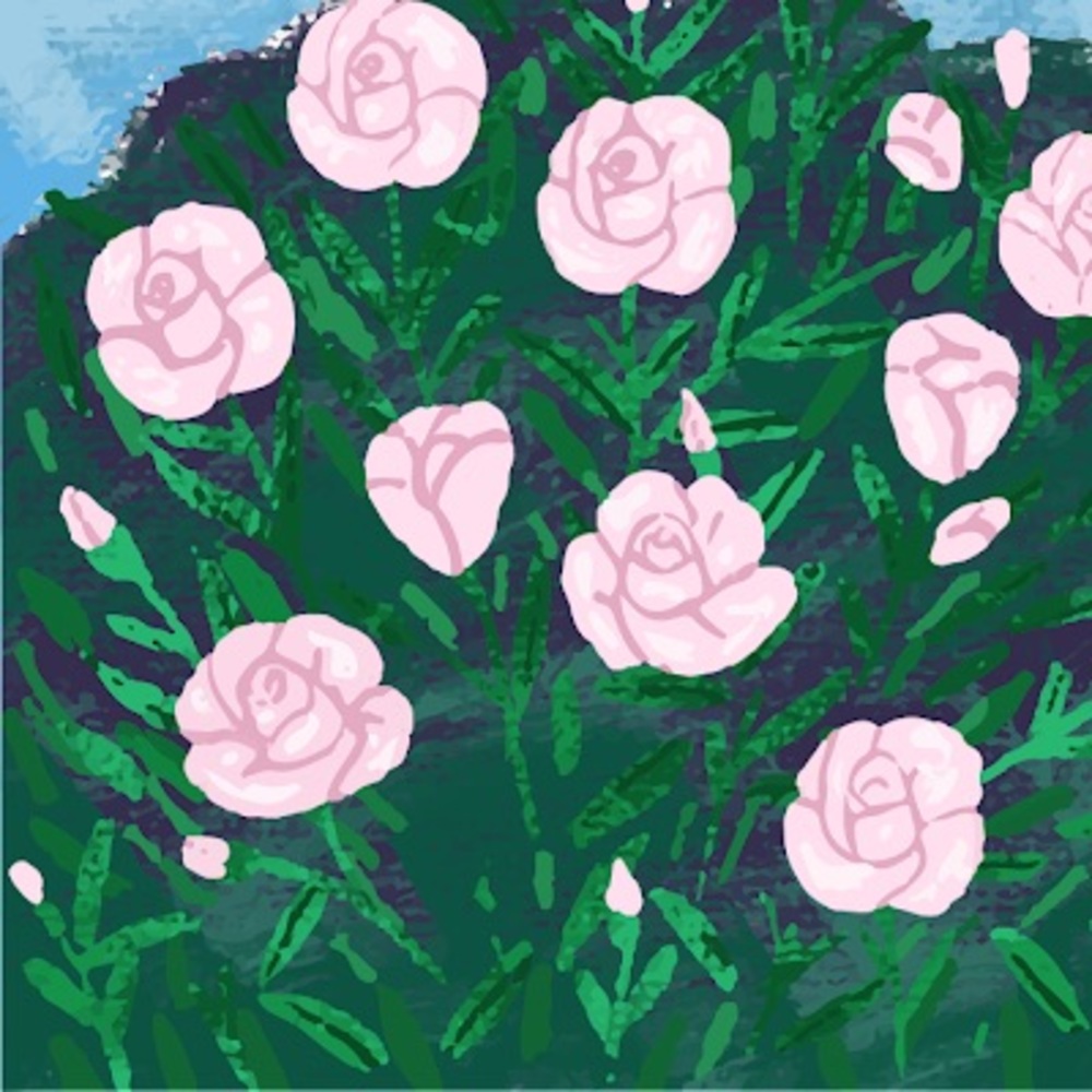 Meet your Posher, Tessa